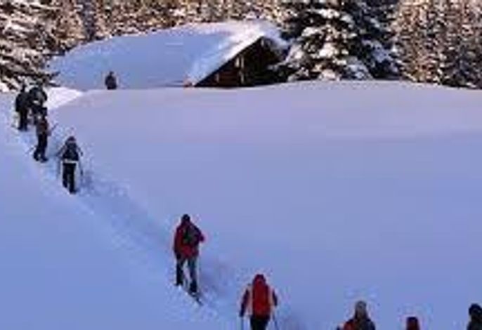 Bild 21