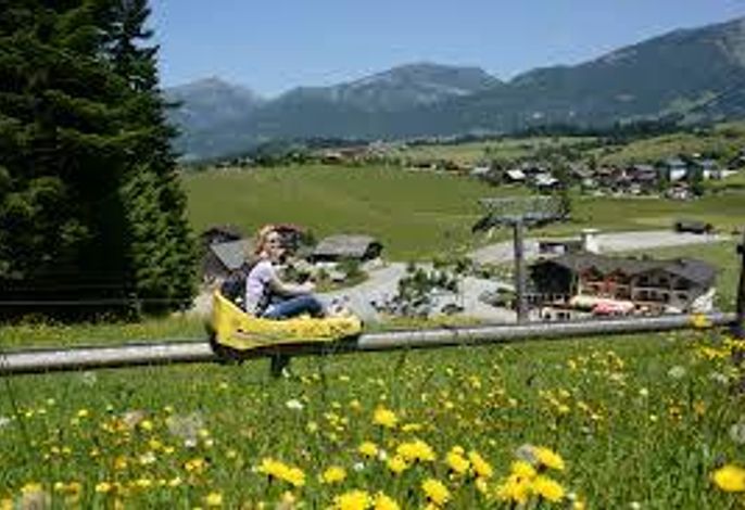 Bild 33