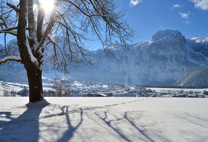 Bild 19