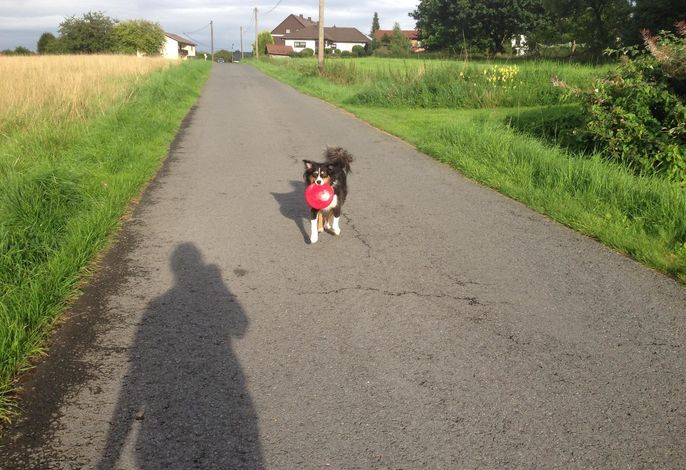 Bild 7