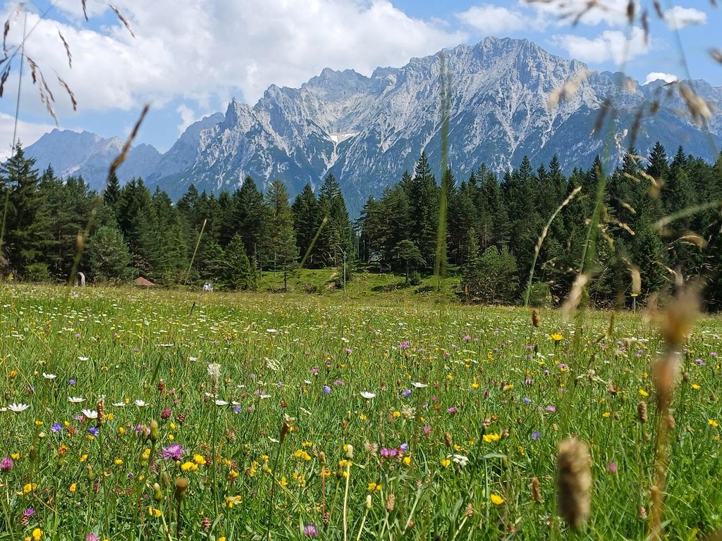 Adelia, Ferienhaus
