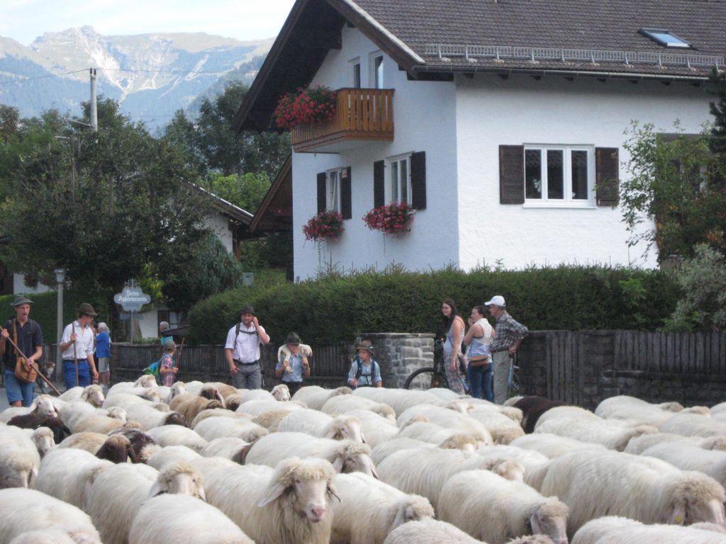 Adelia, Ferienhaus