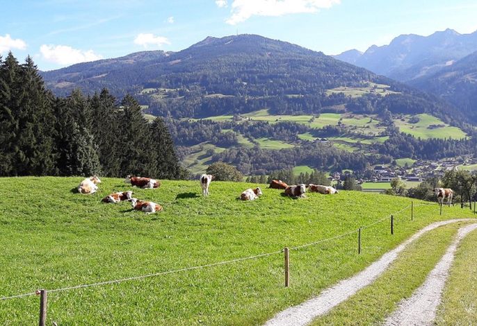 Bild 16