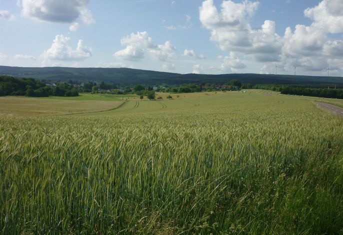 Bild 15
