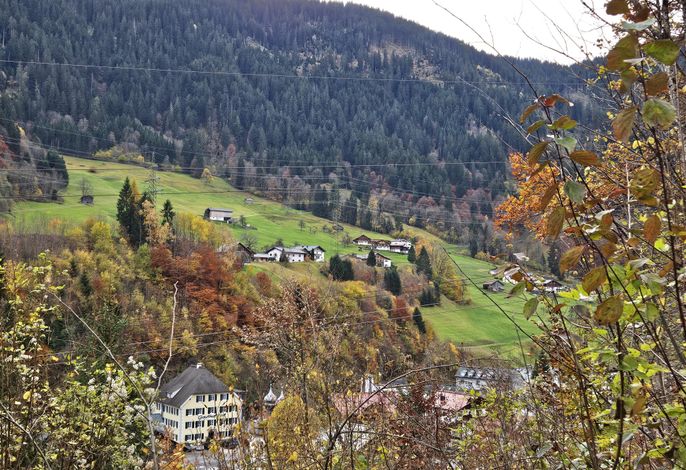 Bild 17