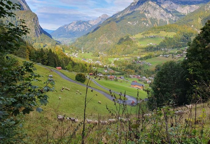 Bild 14