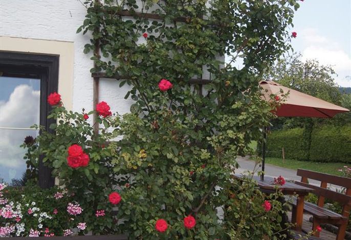 Bild 22
