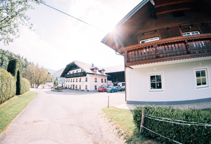Bild 43