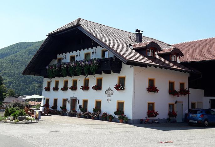 Bild 61