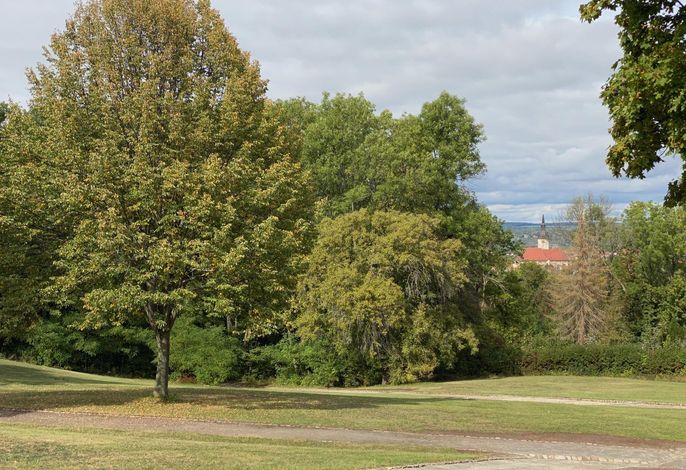 Bild 12
