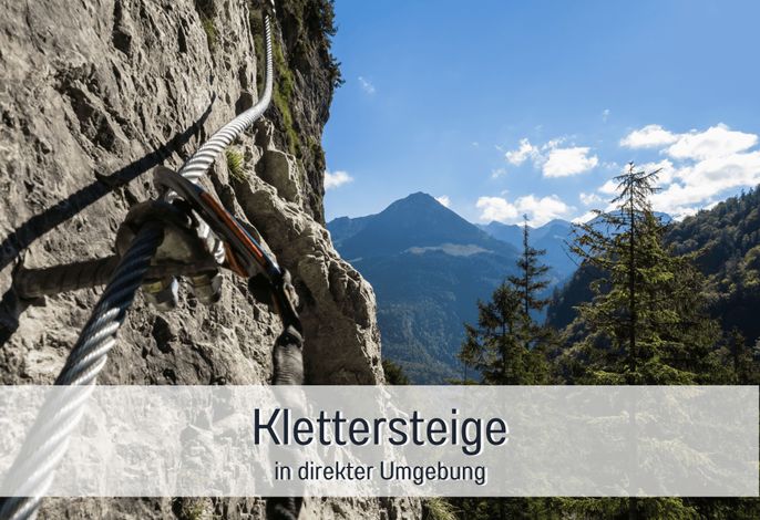 Bild 62