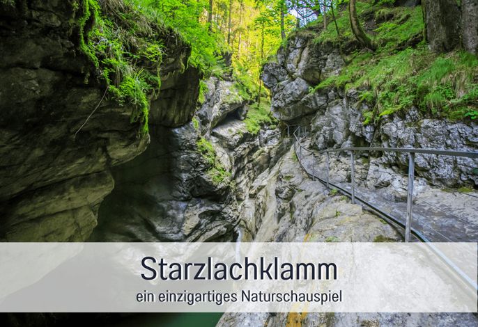 Bild 64