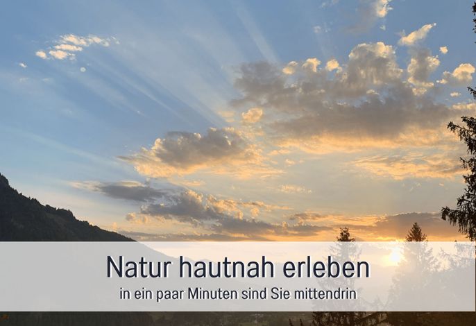 Bild 58