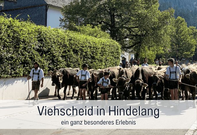 Bild 67