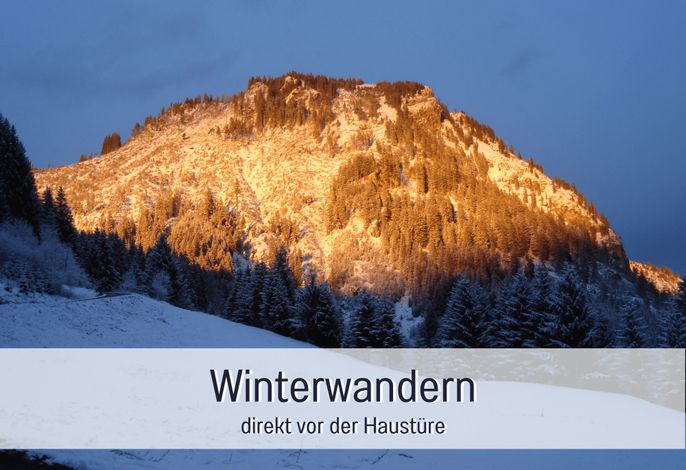 Bild 36