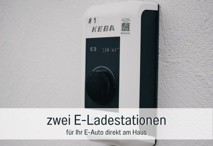 Bild 41