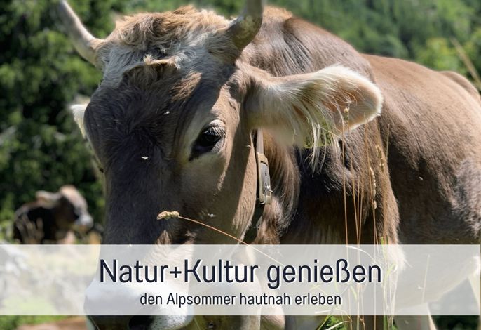 Bild 68