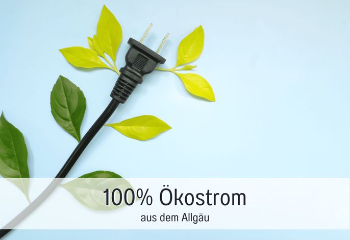 Bild 52