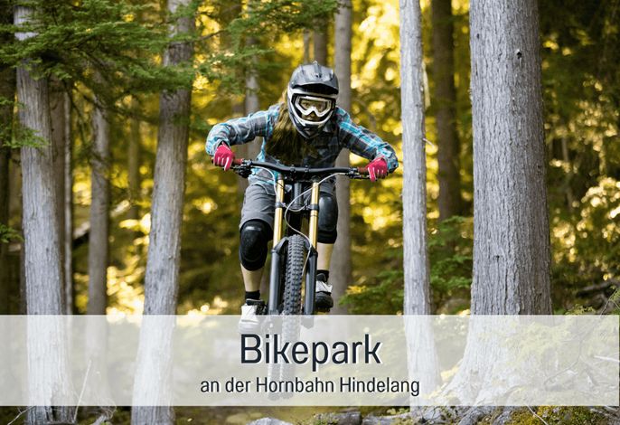 Bild 61
