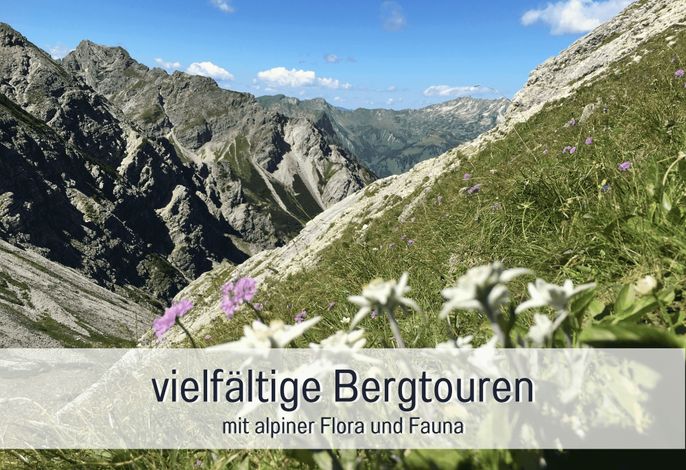 Bild 65