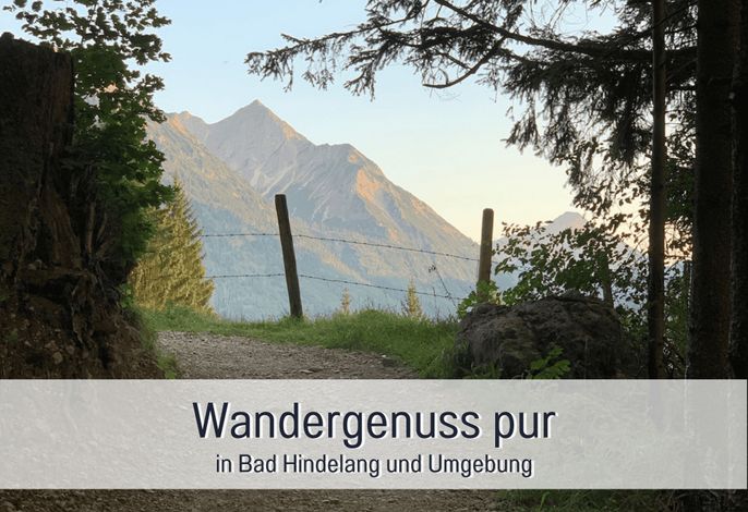 Bild 59