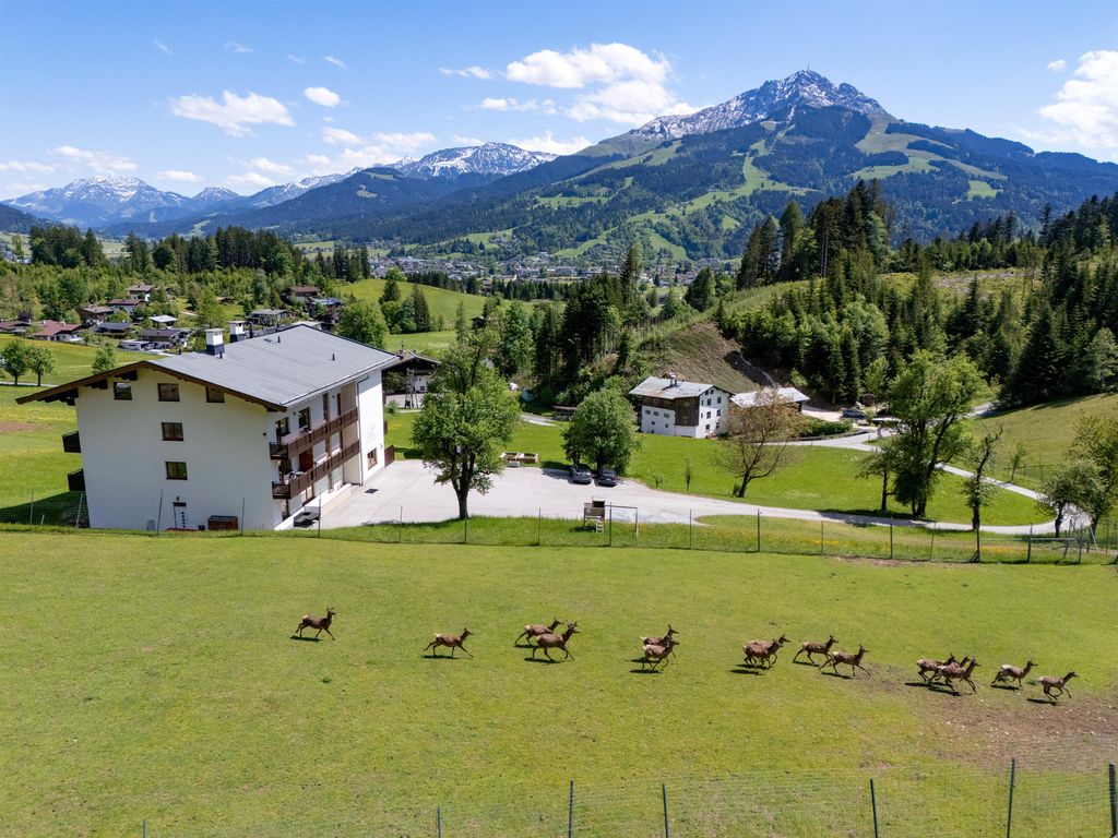 Berghof Haselsberger Appartements