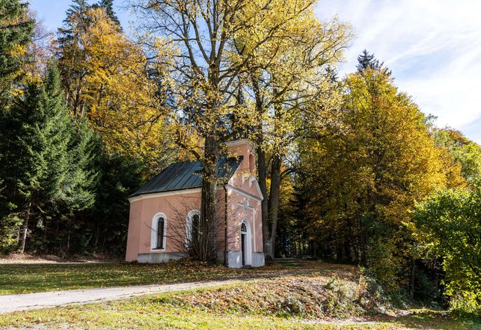 Bild 58