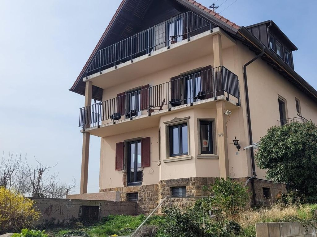 VineSinn