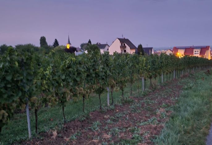 Bild 26