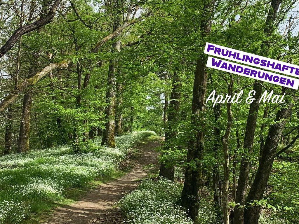 Haus Alleegarten Ferienwohnungen