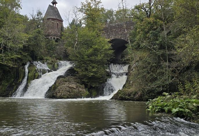 Bild 12
