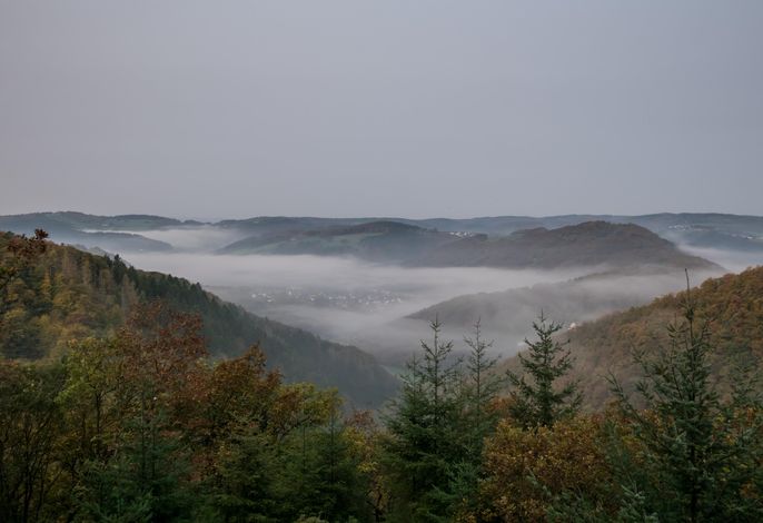 Bild 15