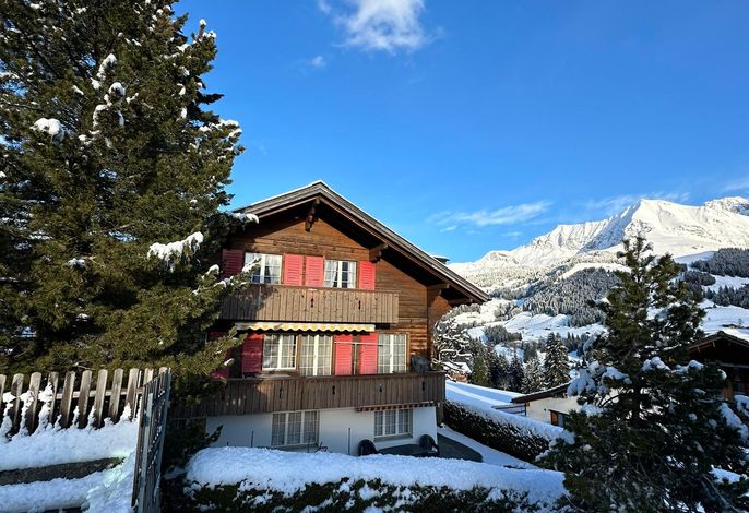 Chalet Sunneschy DG