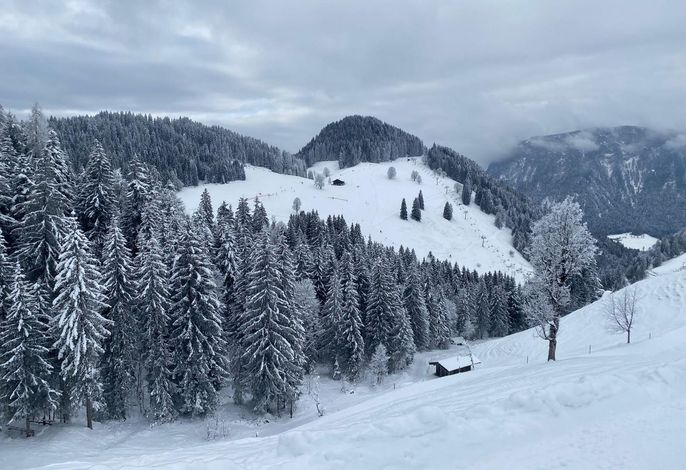 Bild 19