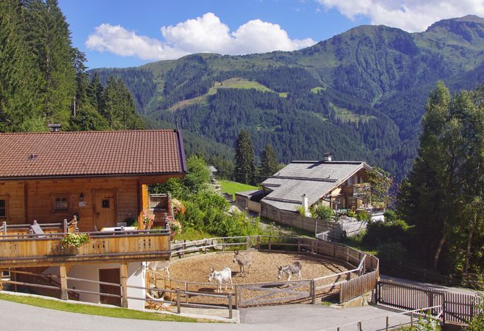 Private Almlodge "Wiese" mit Eseln am Pillberg