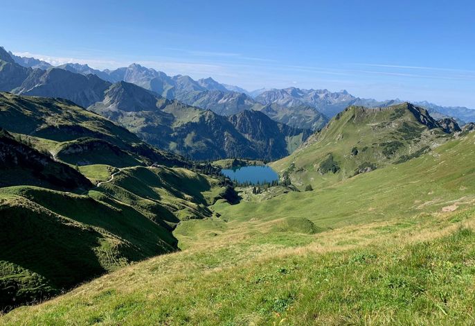 Bild 11