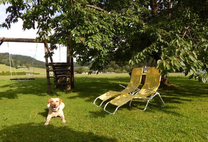 Bild 11