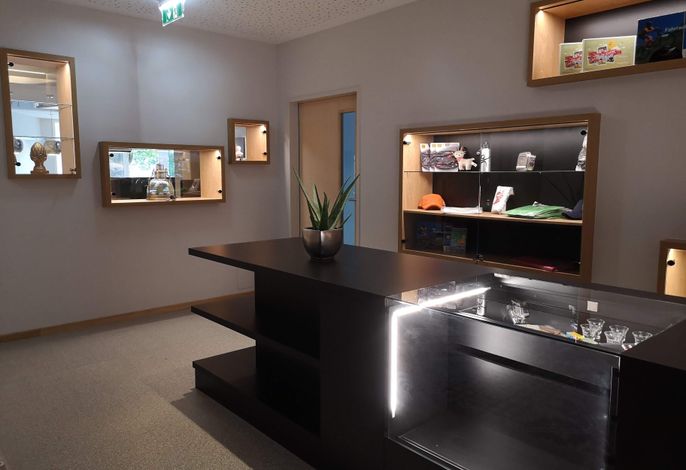 Bild 41