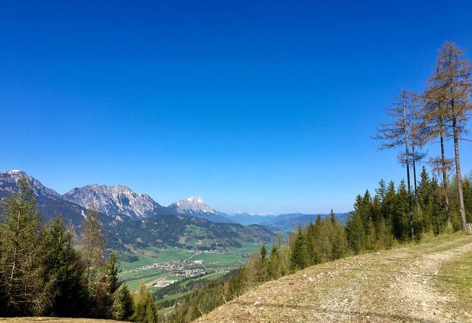 Bild 11