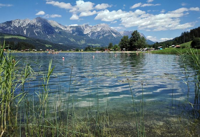 Bild 15