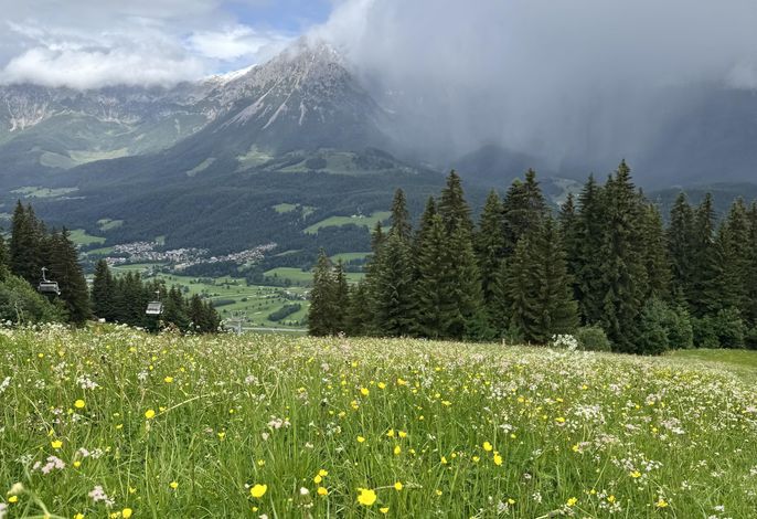 Bild 19
