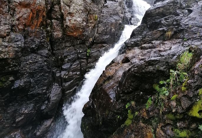 Bild 62