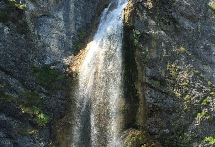 Bild 49