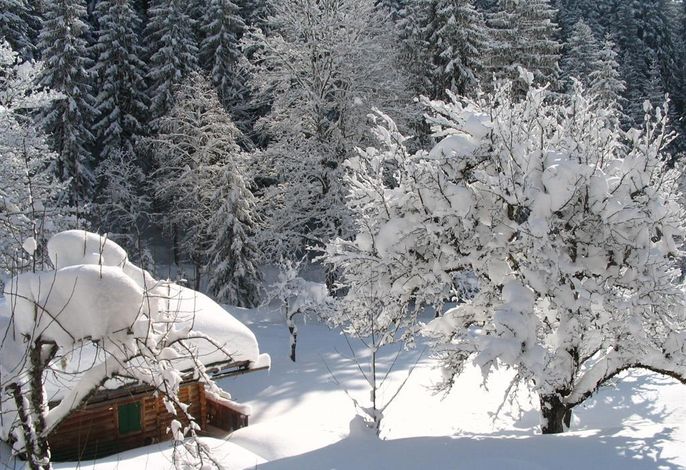 Bild 11