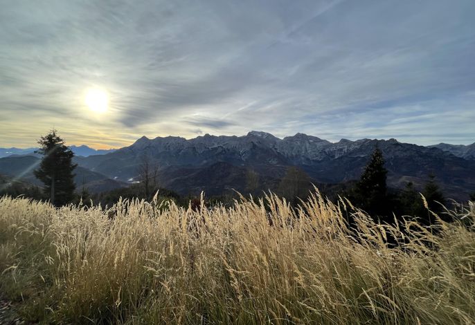 Bild 22