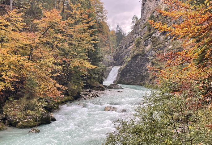 Bild 19