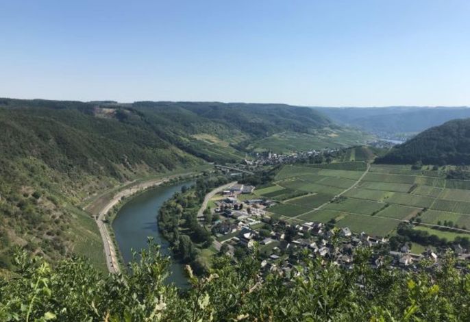 Bild 18