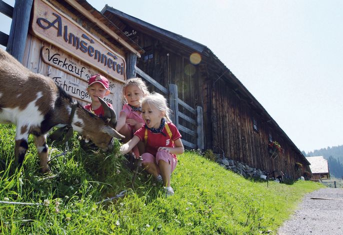 Bild 30