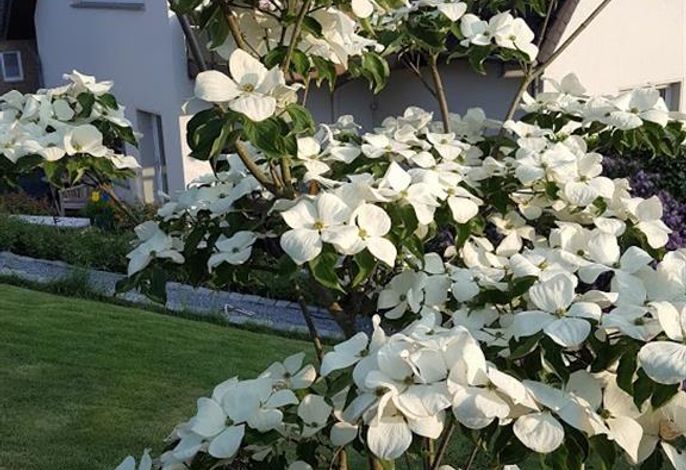 Bild 18
