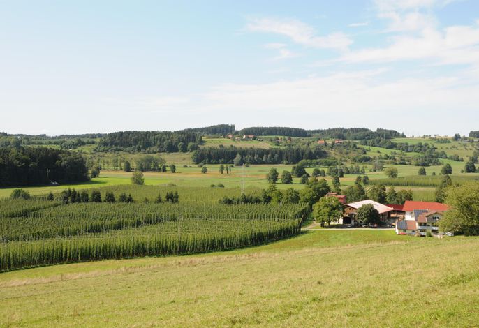 Ferienwohnung Hopfengrün